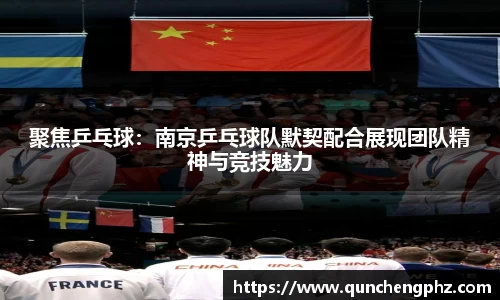 聚焦乒乓球：南京乒乓球队默契配合展现团队精神与竞技魅力