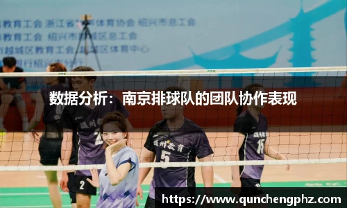 数据分析：南京排球队的团队协作表现